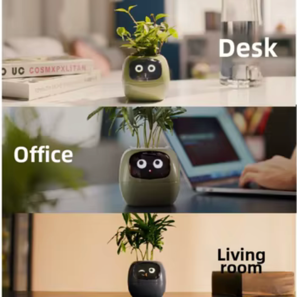 The pot on a desk, in an office, and in a living room