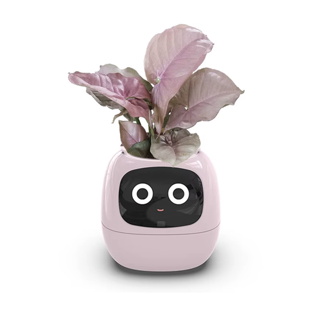 Smart plant pot in pink