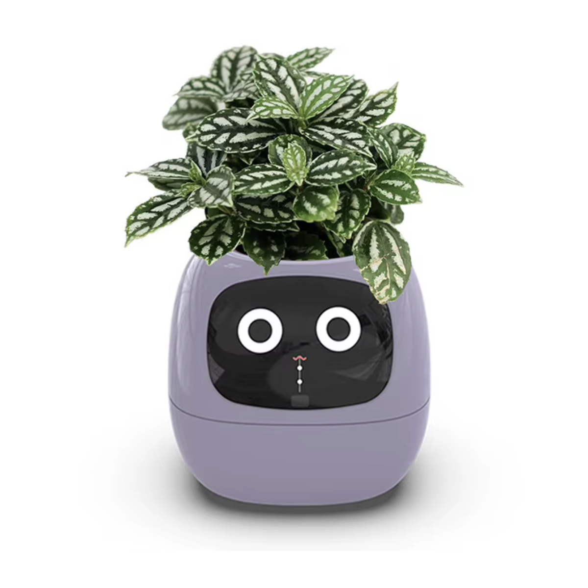 Smart plant pot in purple