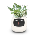 Smart plant pot in white with its face lit up