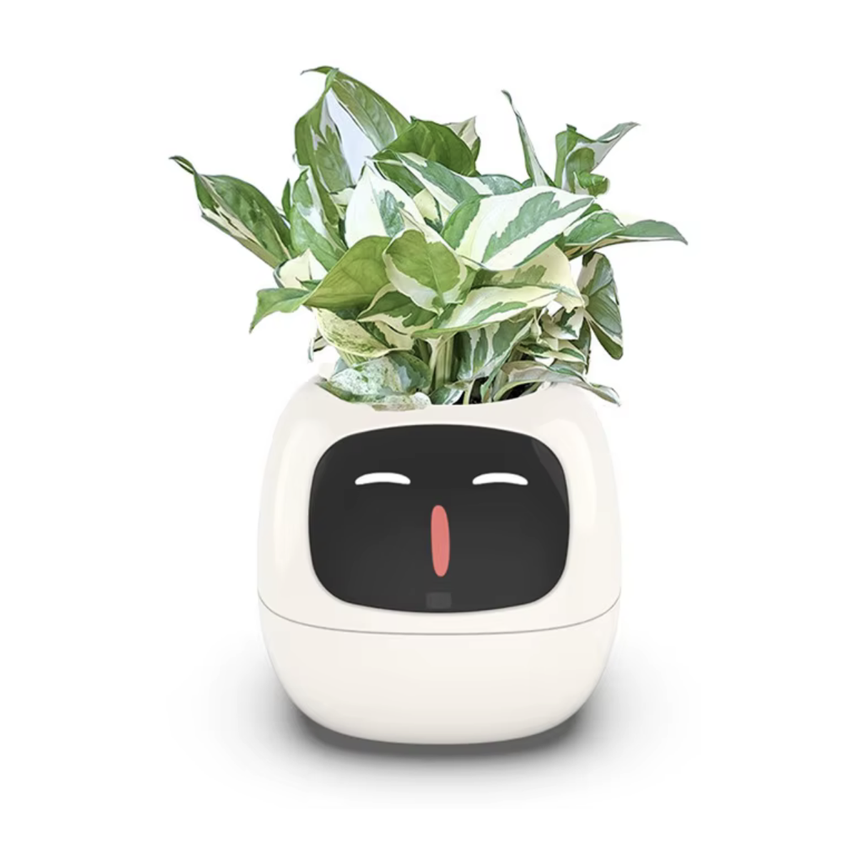Smart plant pot in white with its face lit up